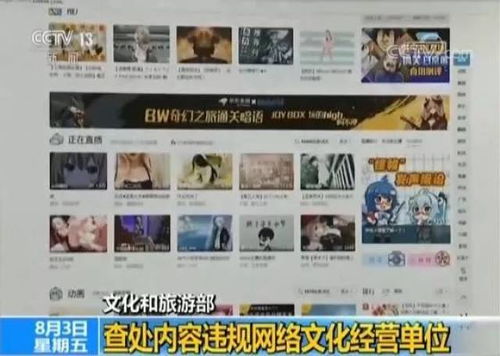 重拳出擊！文化和旅游部查處內(nèi)容違規(guī)網(wǎng)絡(luò)文化經(jīng)營單位，為網(wǎng)絡(luò)文化清朗空間保駕護航