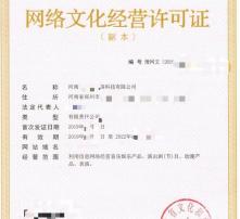 從‘高清新視界’到‘文化新生態(tài)’∶網(wǎng)絡文化經(jīng)營中的視覺革命與責任擔當